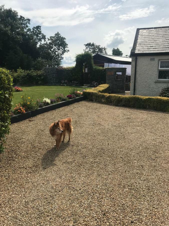 Cosy Countryside Log Cabin Kilkenny Esterno foto